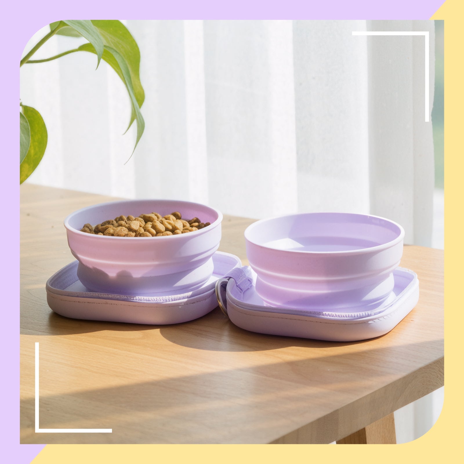 Dailypets Portable Cat Bowl Set for Outdoor Feeding