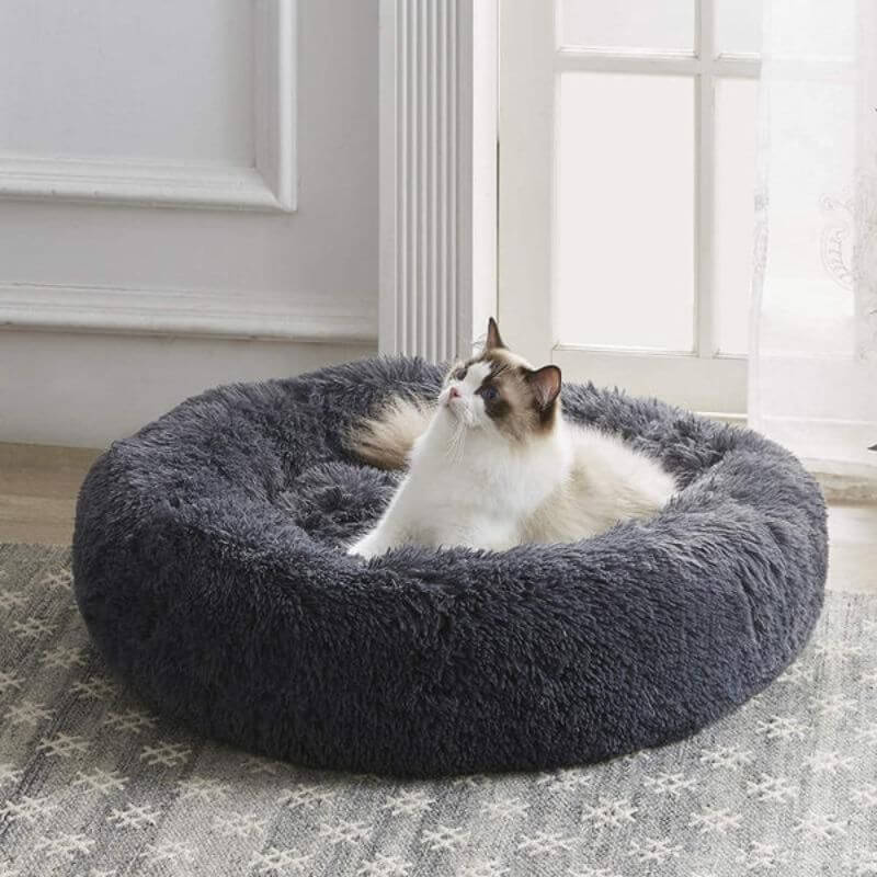 Dailypets Fluffy Cat Bed, Raised Rim Round Bed for Daily Comfort