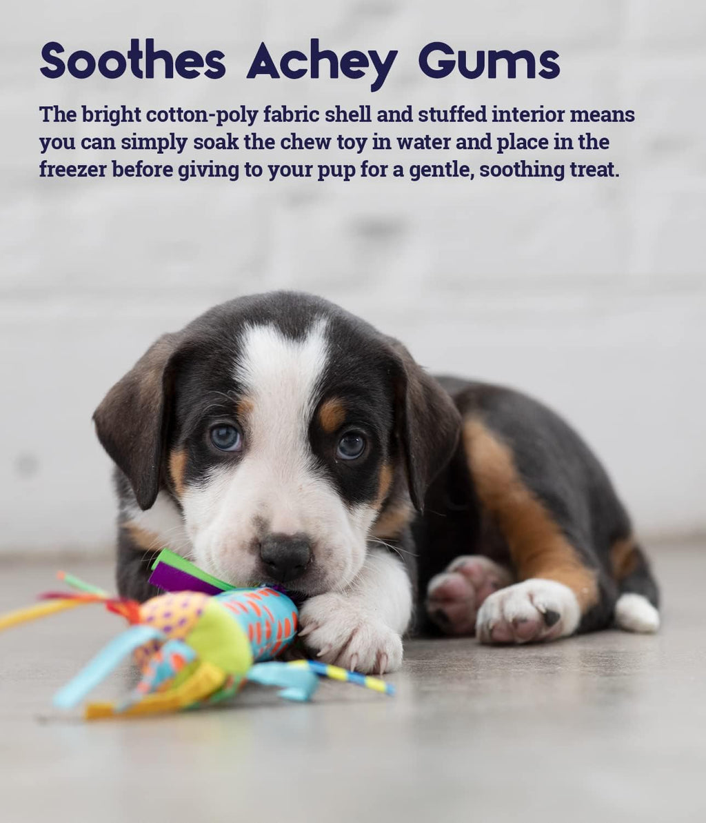 Dailypets Freezable Puppy Teething Stick Toy for Cooling Chew Relief and Gentle Play