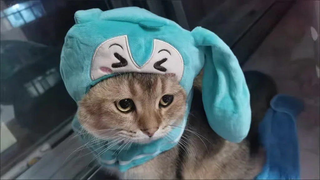 Dailypets Character-Inspired Cat Shawl with Soft Fabric and Mint Green Design