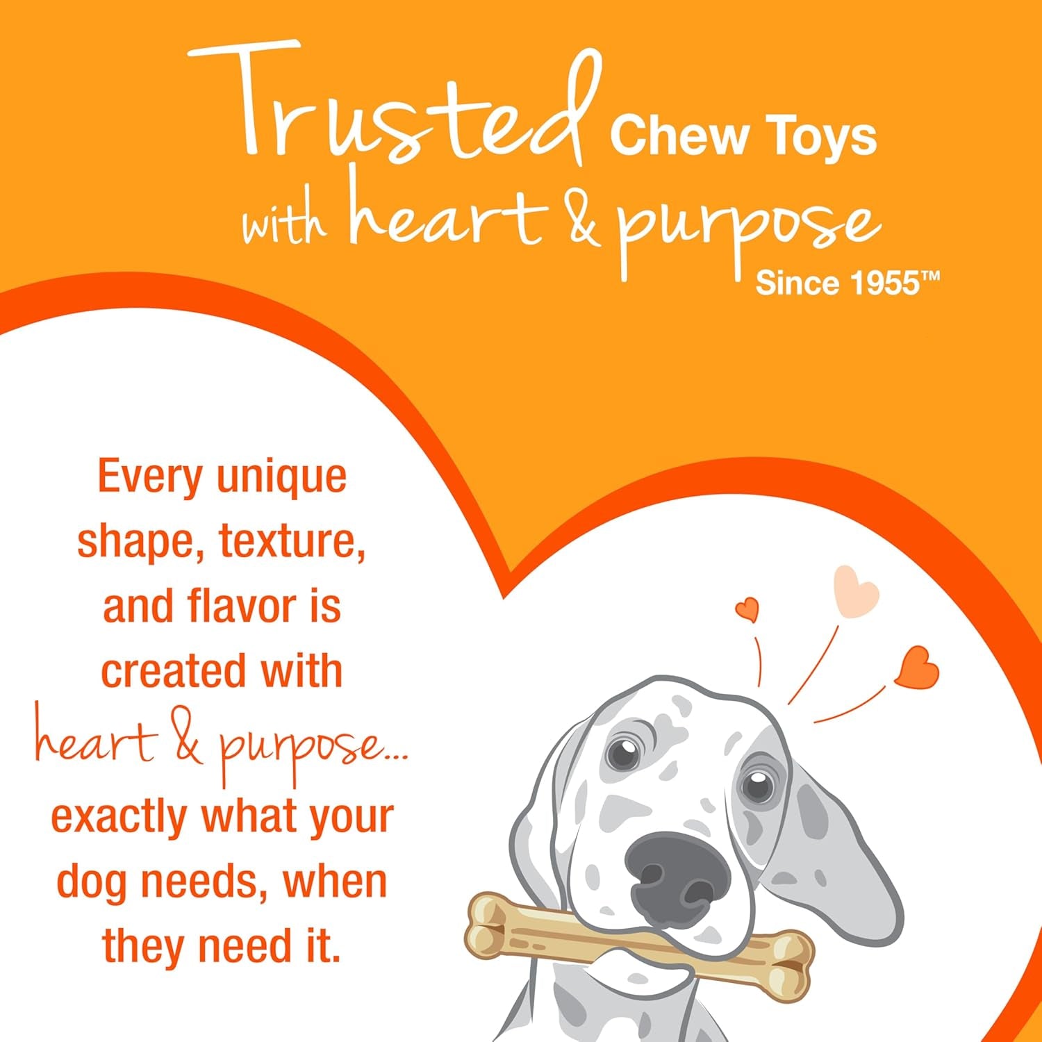 Dailypets Puppy Teething Chew Toy with Gum Massaging Texture and Bacon Flavor