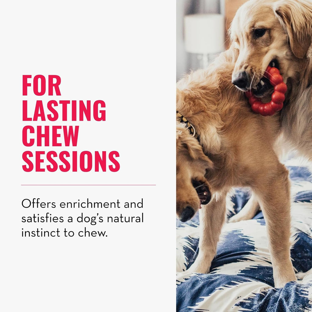 Dailypets Natural Rubber Dog Chew Ring Toy for Small and Medium Dogs Daily Play