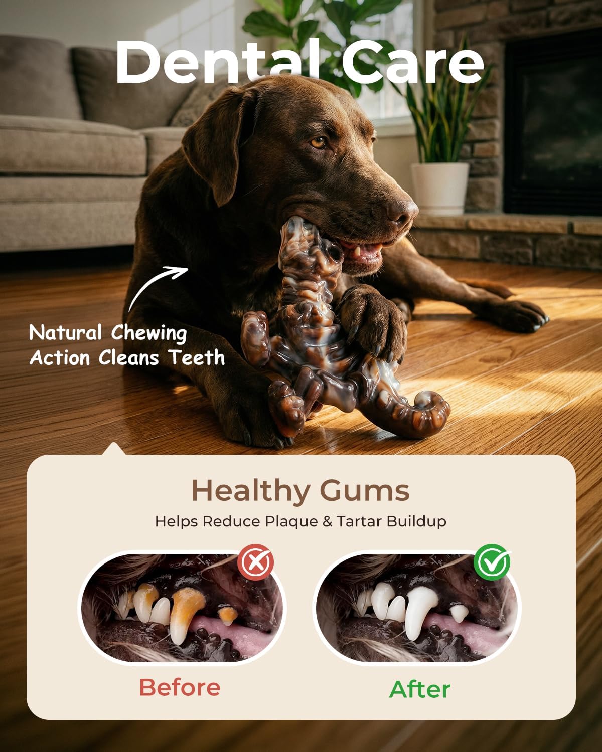 Dailypets Dinosaur Dog Chew Toy Set with Bacon Flavor for Strong Chewers 2 Pack