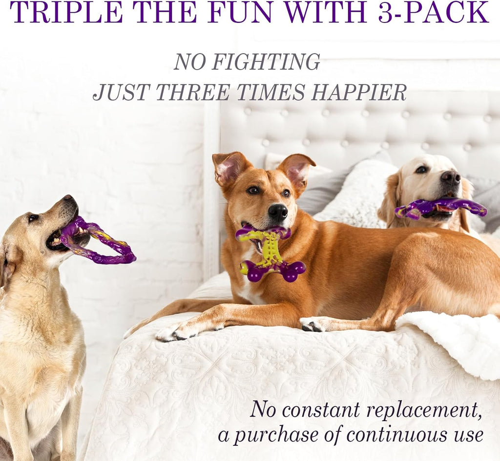 Dailypets Durable Nylon Dog Chew Toy Set for Strong Chewers Bacon Flavor 3 Pack