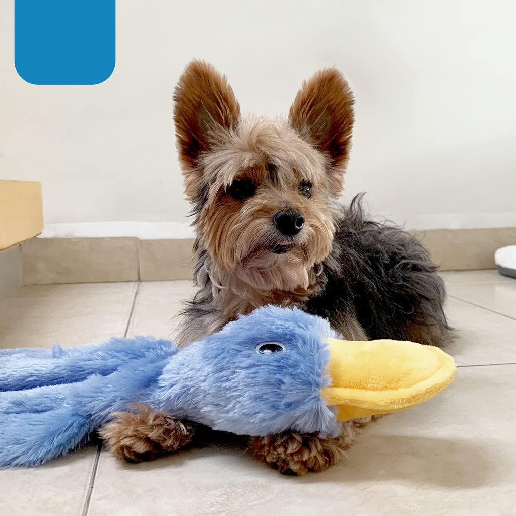 Dailypets Stuffing-Free Duck Dog Toy with Crinkle Sound for Interactive Fetch and Play
