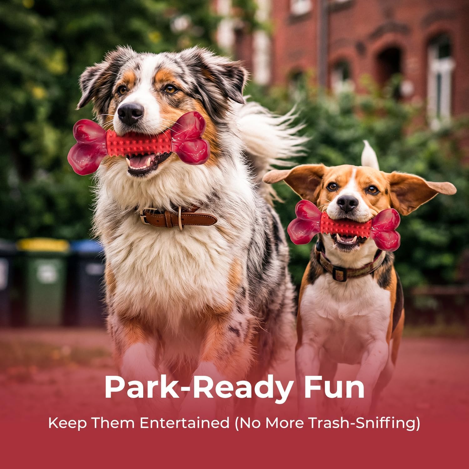 Dailypets Beef Flavored Dog Chew Toy for Medium and Large Dogs with Dual Materials