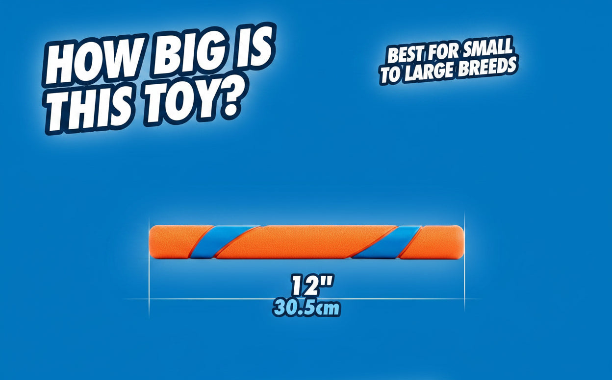 Dailypets Interactive Dog Fetch Stick 12 Inch Durable Toy for Outdoor Play
