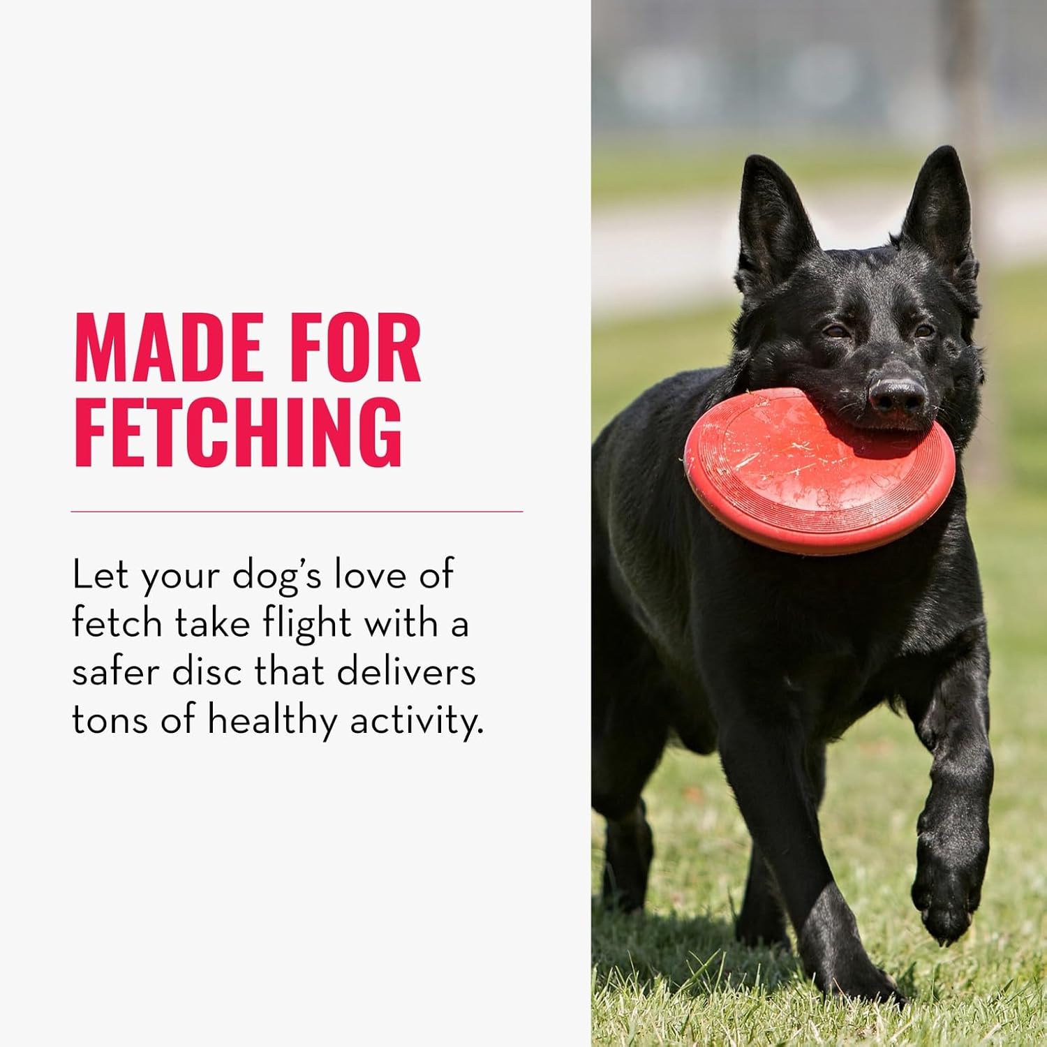 Dailypets Natural Rubber Dog Flying Disc for Medium and Large Dogs Outdoor Fetch