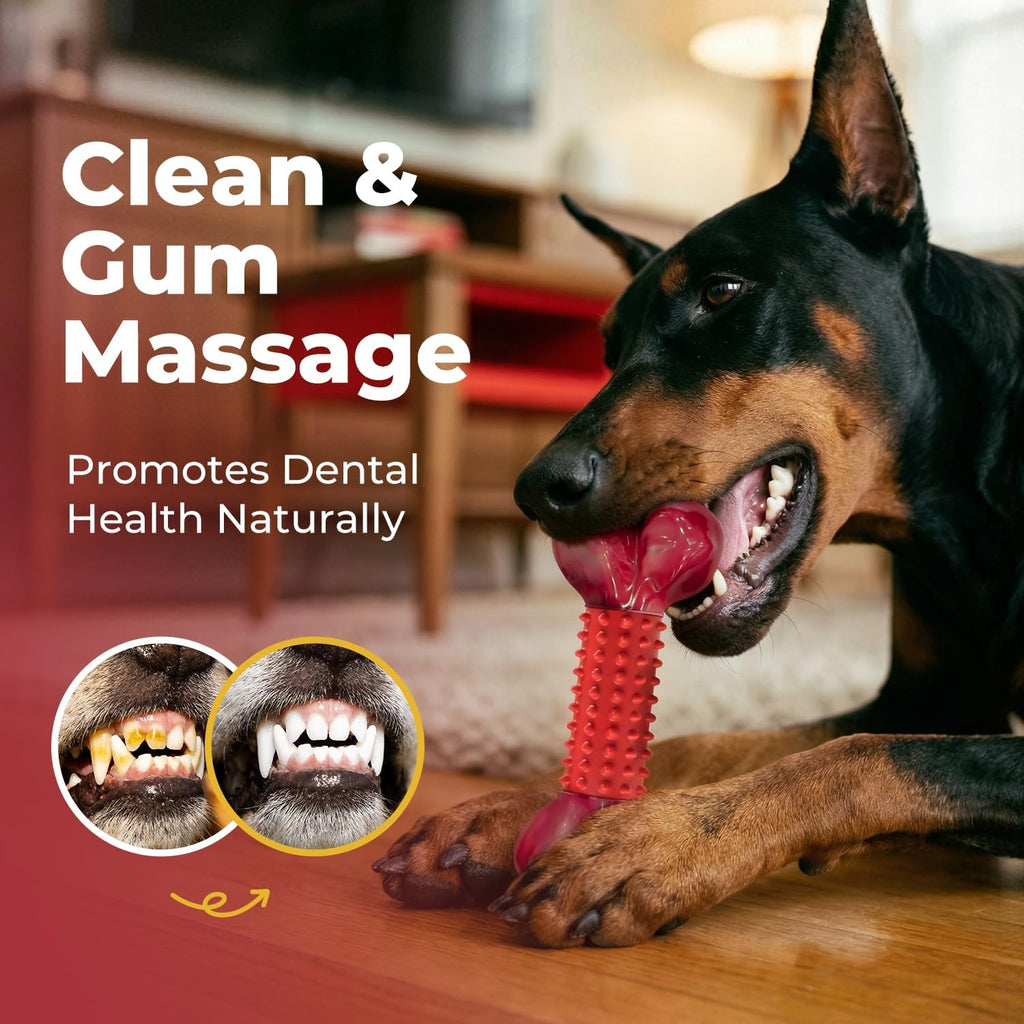 Dailypets Beef Flavored Dog Chew Toy for Medium and Large Dogs with Dual Materials