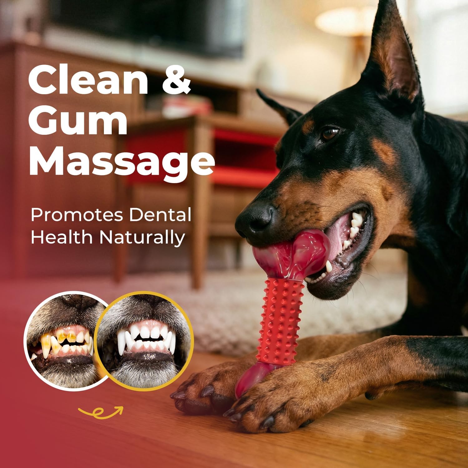 Dailypets Beef Flavored Dog Chew Toy for Medium and Large Dogs with Dual Materials
