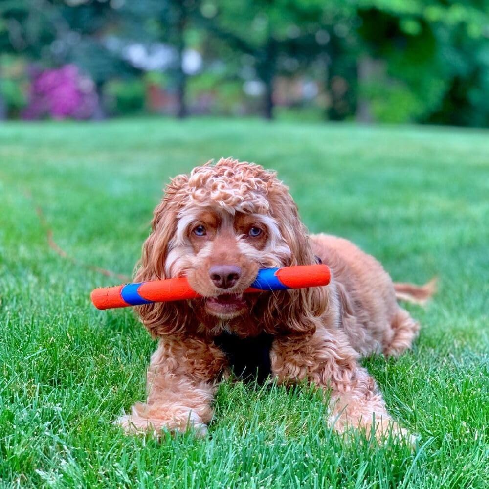 Dailypets Interactive Dog Fetch Stick 12 Inch Durable Toy for Outdoor Play