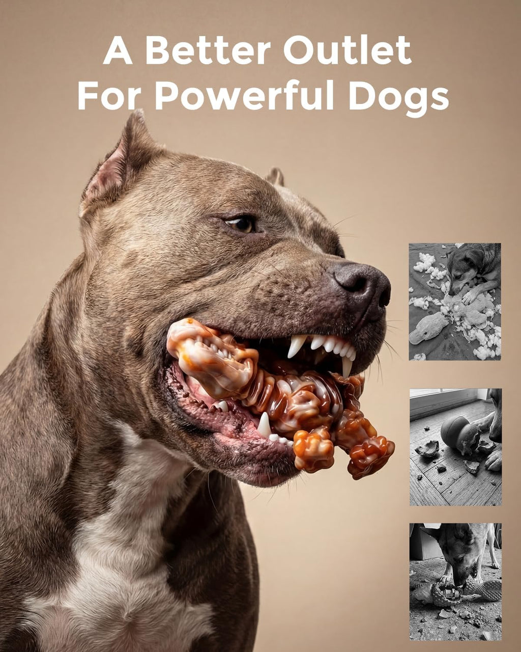 Dailypets Dinosaur Dog Chew Toy Set with Bacon Flavor for Strong Chewers 2 Pack