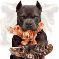 Dailypets Dinosaur Dog Chew Toy Set with Bacon Flavor for Strong Chewers 2 Pack