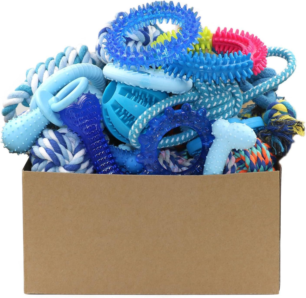 Dailypets 20 Piece Puppy Toy Set with Rope Toys Teething Rings Rubber Chews and Treat Toy