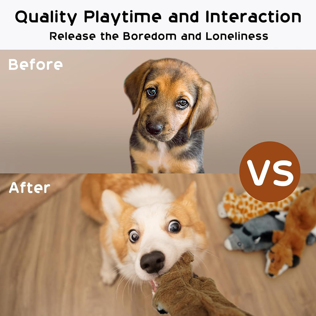 Dailypets 5 Pack Plush Dog Toys with Crinkle Fabric and Dual Squeakers for All Dogs