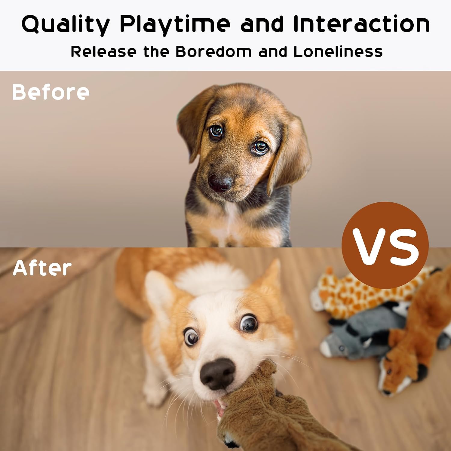 Dailypets 5 Pack Plush Dog Toys with Crinkle Fabric and Dual Squeakers for All Dogs
