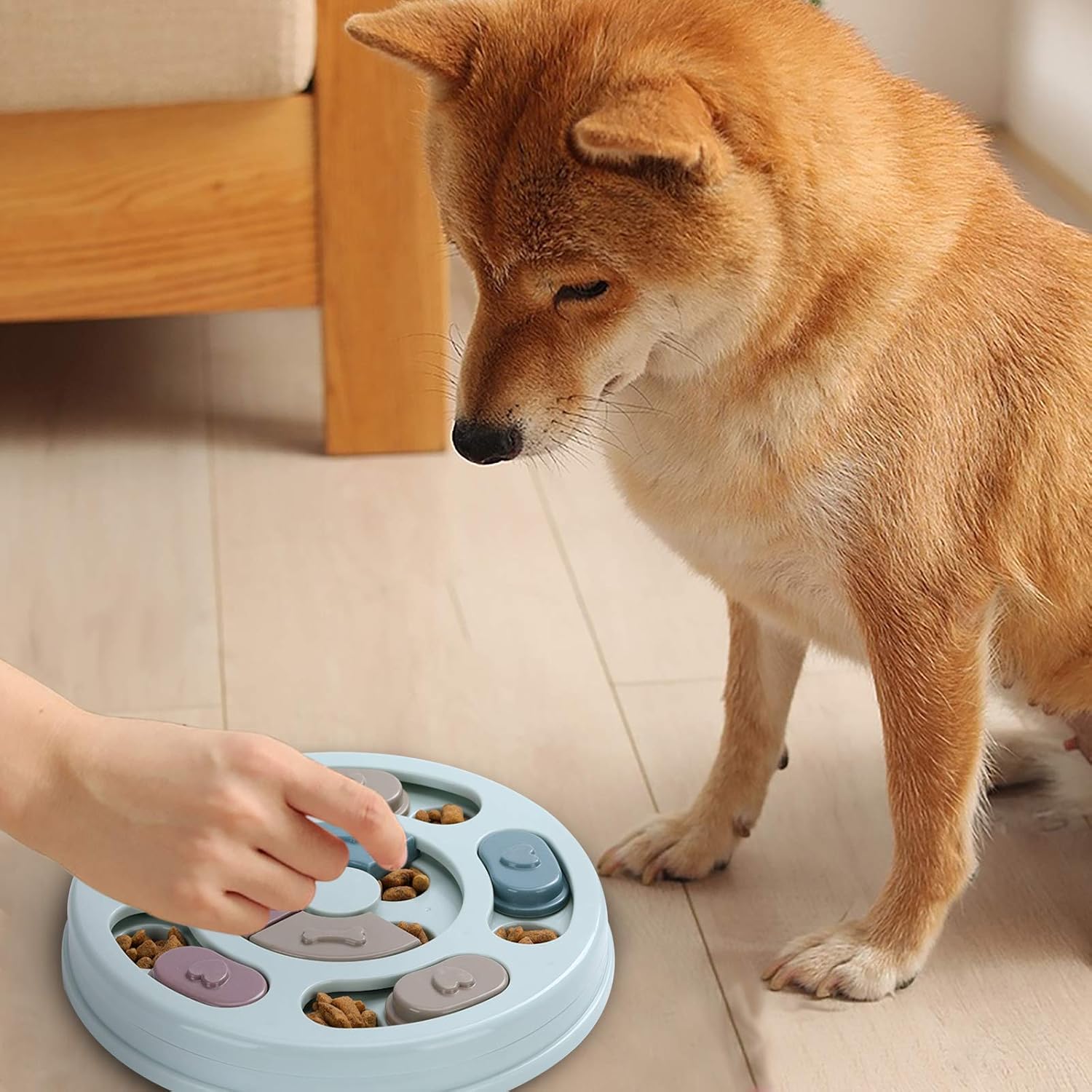Dailypets Interactive Pet Puzzle Feeder for Dogs and Cats Slow Feeding IQ Toy