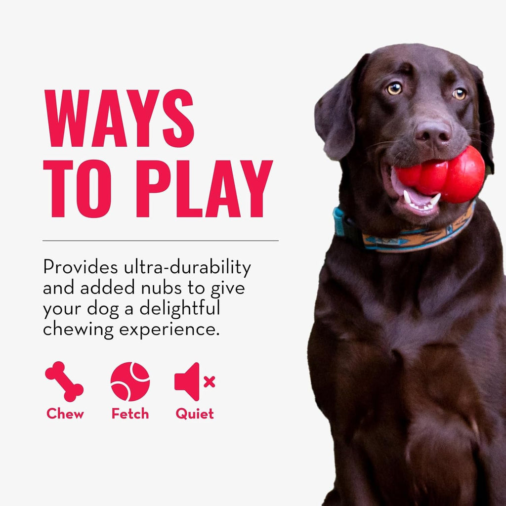 Dailypets Natural Rubber Dog Chew Ring Toy for Small and Medium Dogs Daily Play