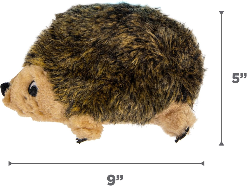 Dailypets Plush Hedgehog Dog Toy with Squeaker and Grunter for Interactive Play
