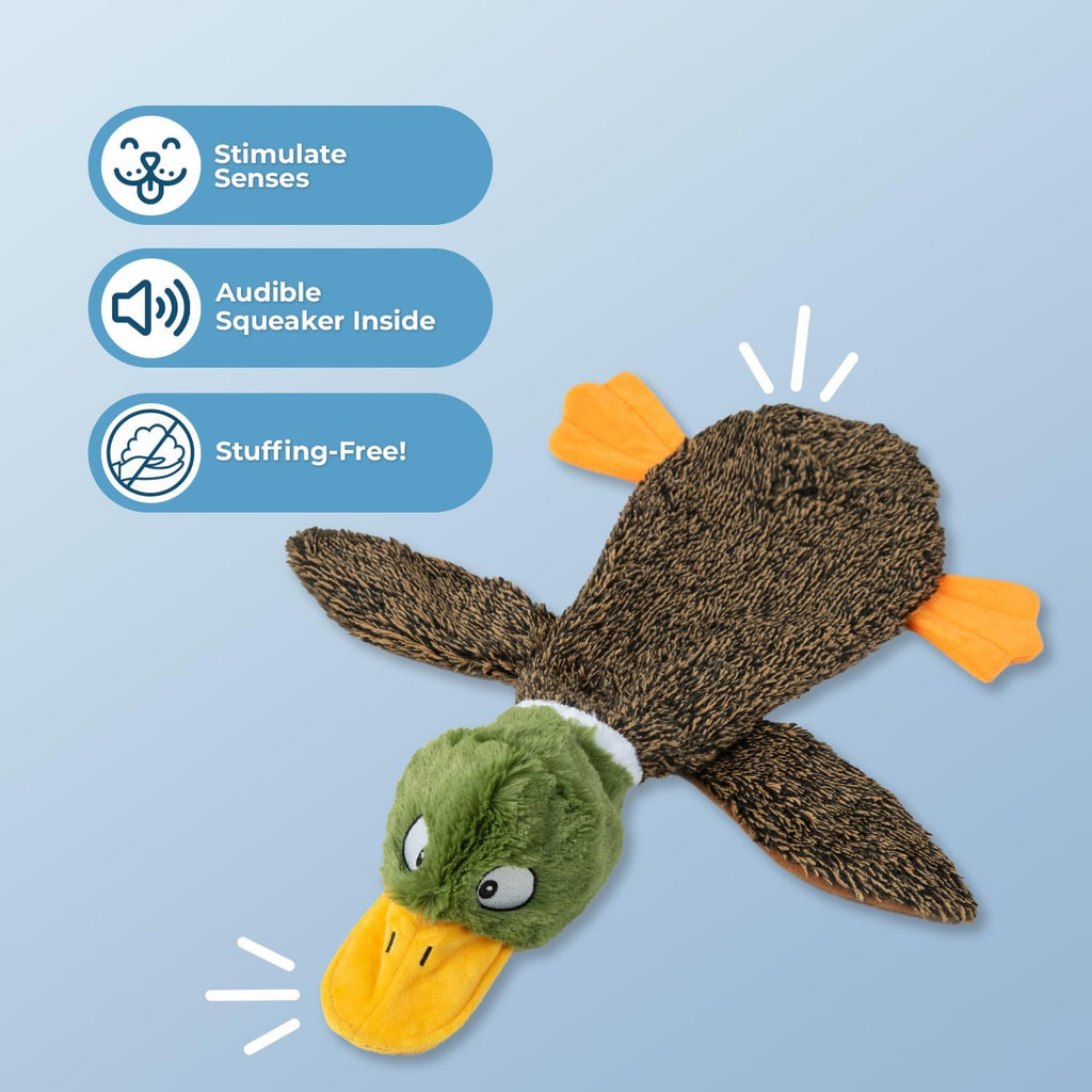 Dailypets Stuffless Wild Duck Plush Dog Toy with Dual Squeakers for Interactive Play