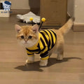 Dailypets Bumble Bee Cat Hoodie for Indoor Cats with Cozy Everyday Comfort