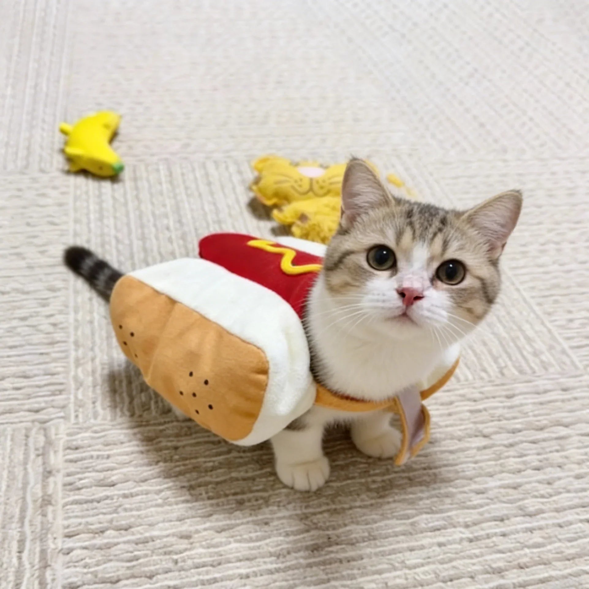 Dailypets Cute Hot Dog Cat Outfit for Photos, Parties and Everyday Fun