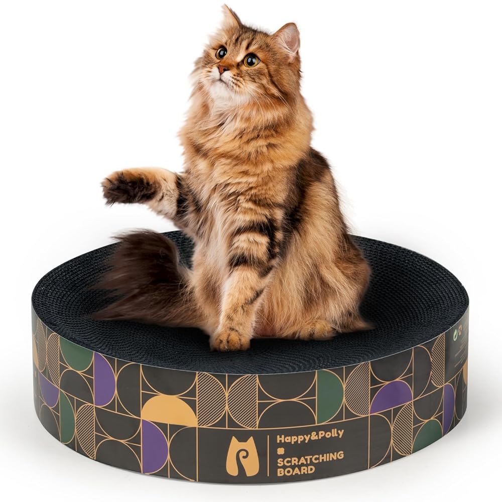 Dailypets Cat Scratcher Blind Box Assorted Scratch Toy Surprise