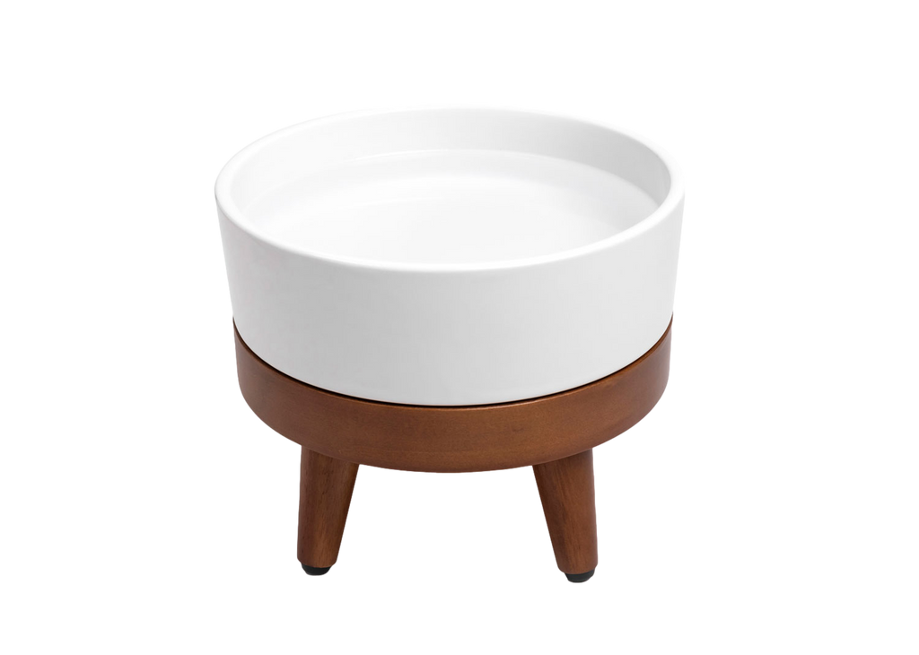 Dailypets Premium Pet Bowl, Water Bowl with Mid-Century Base