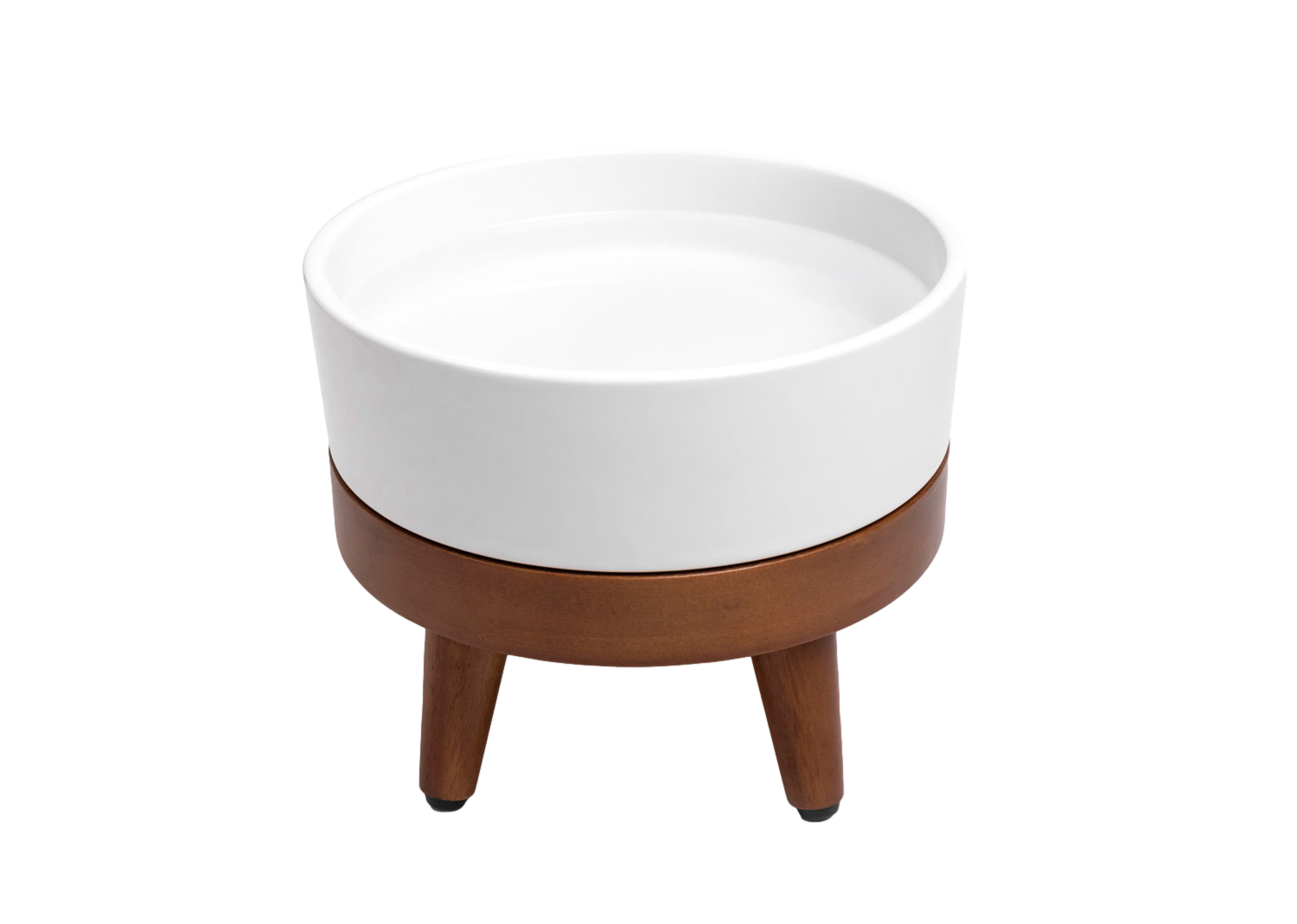Dailypets Premium Pet Bowl, Water Bowl with Mid-Century Base