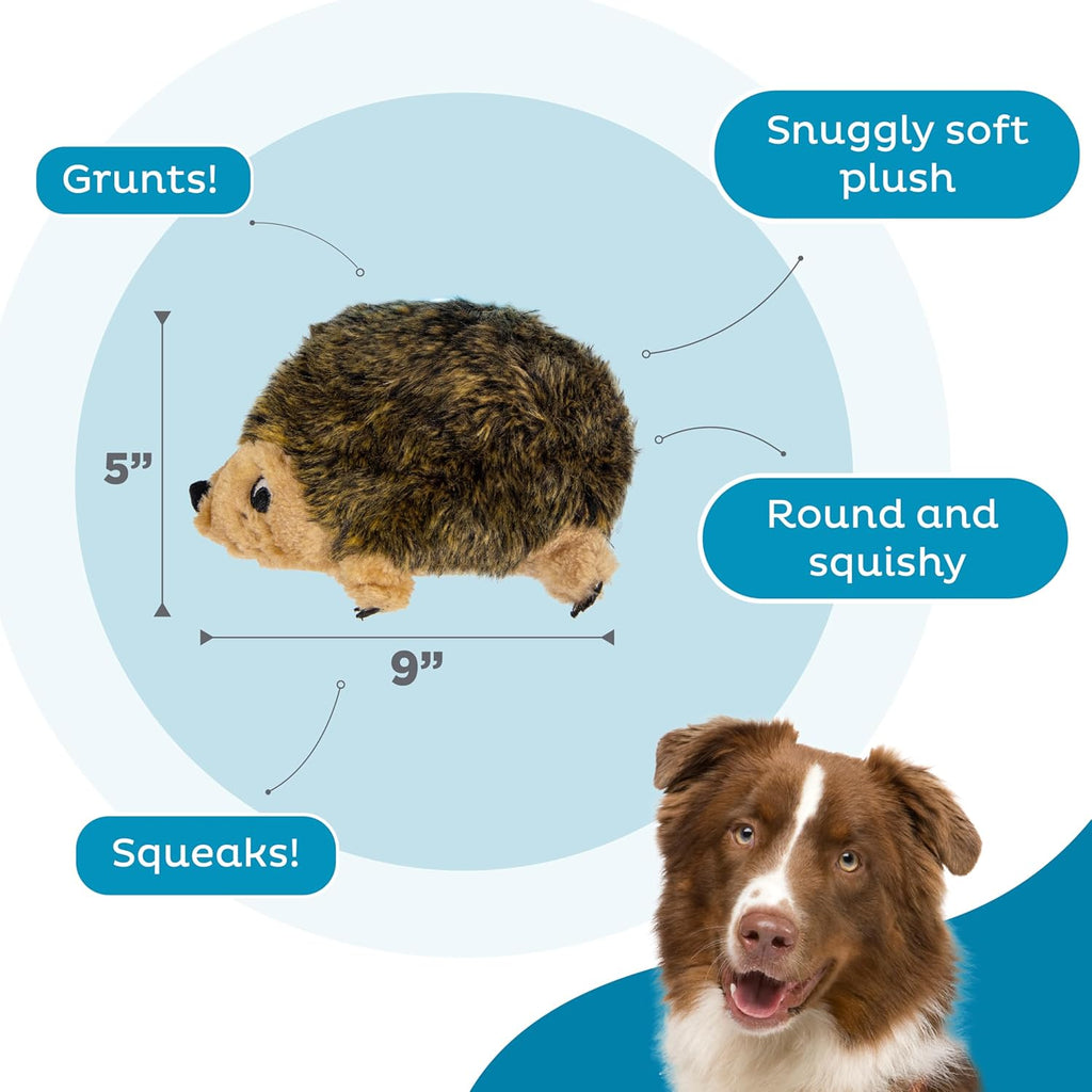 Dailypets Plush Hedgehog Dog Toy with Squeaker and Grunter for Interactive Play