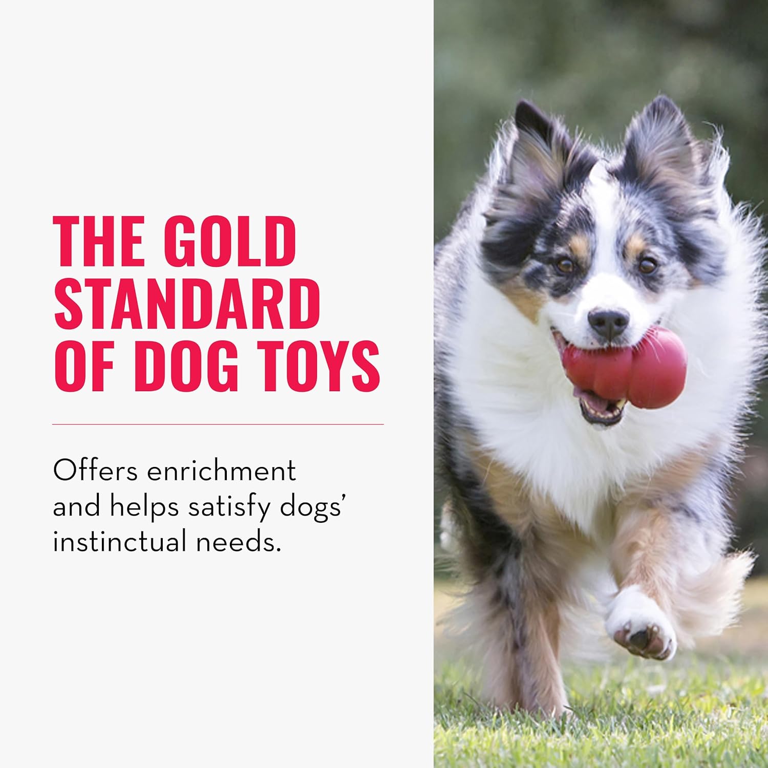 Dailypets Natural Rubber Treat Dispensing Dog Toy for Large Dogs Interactive Play