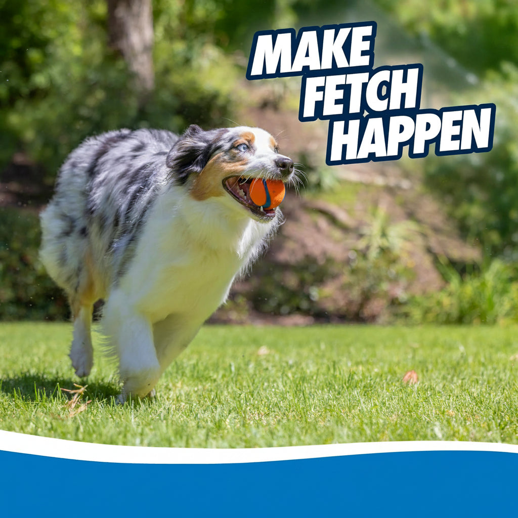 Dailypets Durable Rubber Fetch Ball Set for Dogs with High Bounce Floating Design