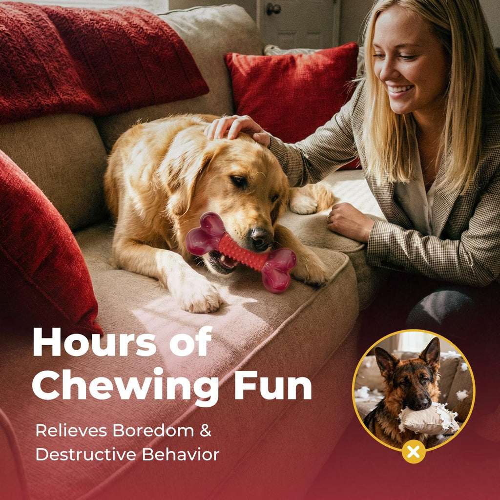 Dailypets Beef Flavored Dog Chew Toy for Medium and Large Dogs with Dual Materials