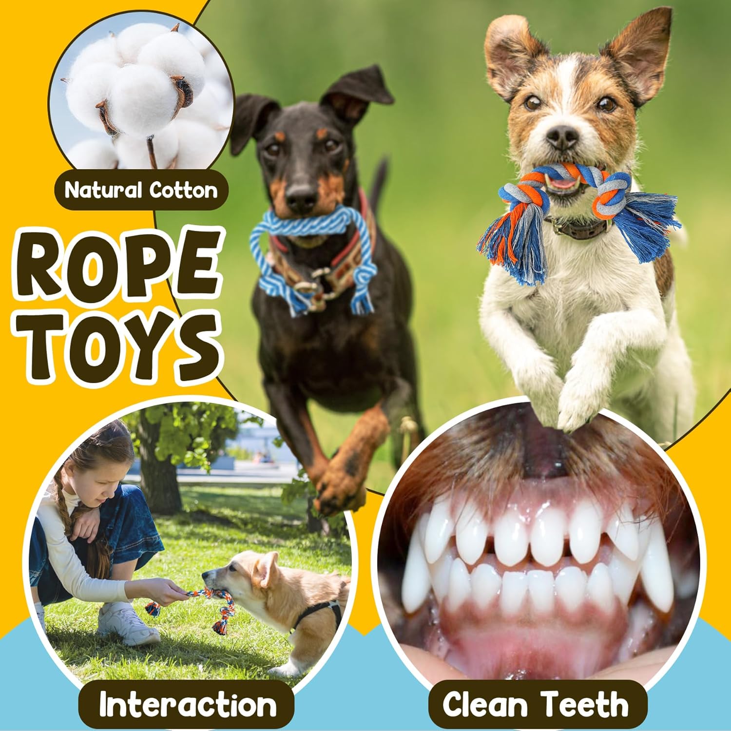 Dailypets Puppy Toy Bundle with Squeaky Plush Rope Toys and Treat Ball 9 Pieces