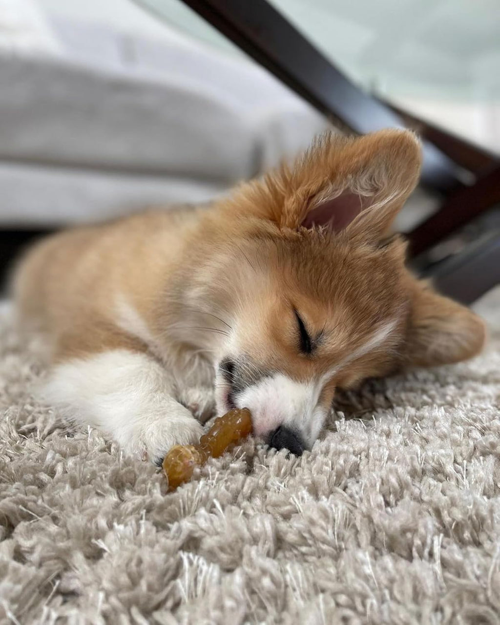 Dailypets Puppy Teething Ring Chew Toy with Chicken Flavor for Small Puppies