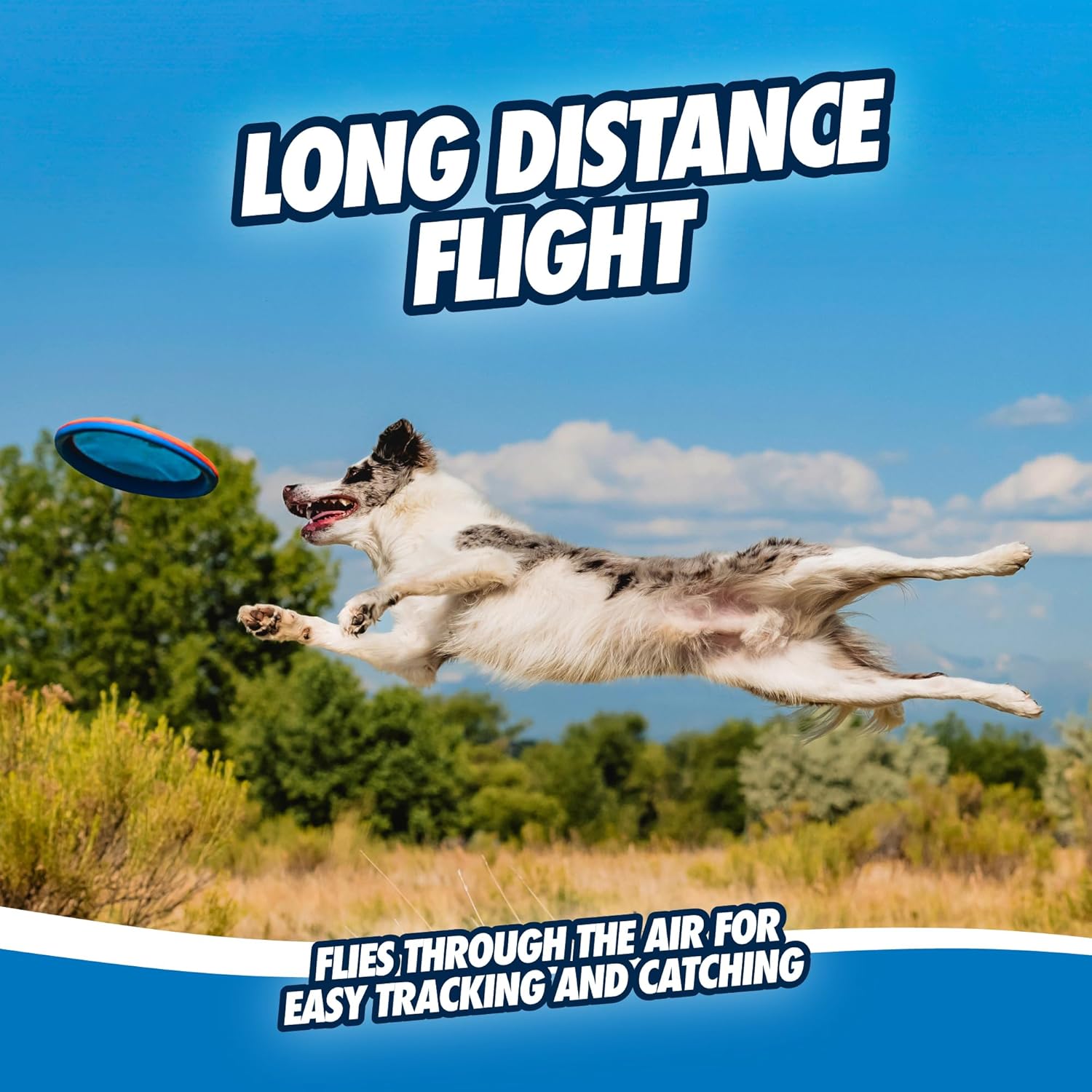 Dailypets Floating Dog Flying Disc with Soft Rubber Edge for Medium and Large Dogs