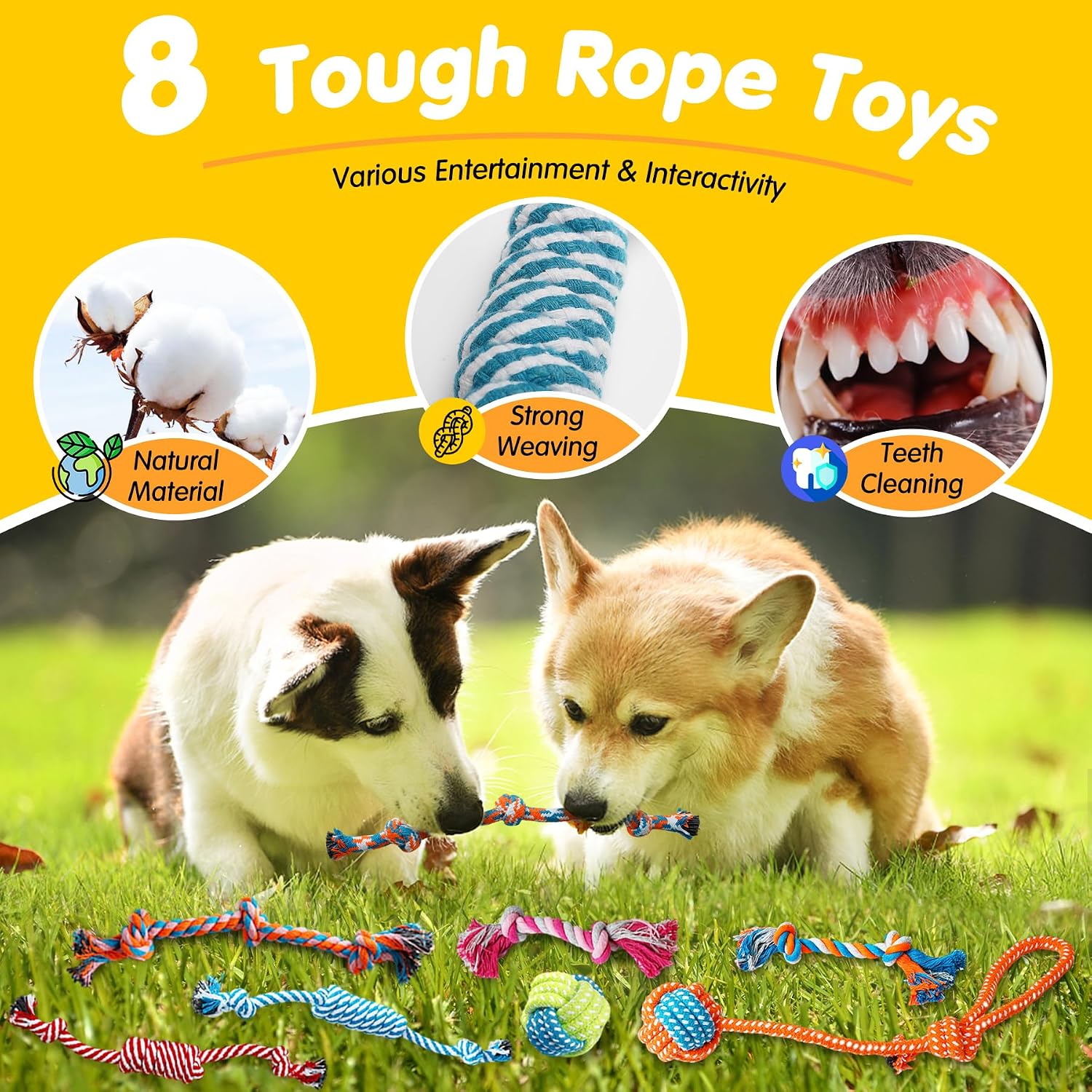 Dailypets 25 Piece Puppy Toy Set with Rope Toys Plush Toys Treat Ball and Rubber Chews