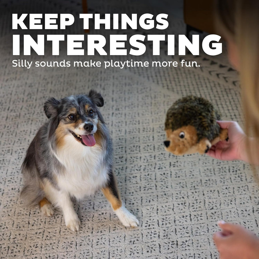 Dailypets Plush Hedgehog Dog Toy with Squeaker and Grunter for Interactive Play