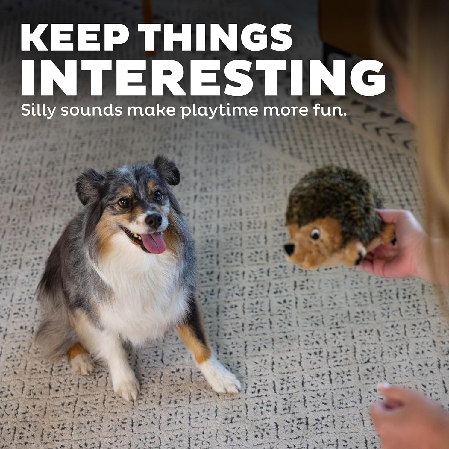 Dailypets Plush Hedgehog Dog Toy with Squeaker and Grunter for Interactive Play