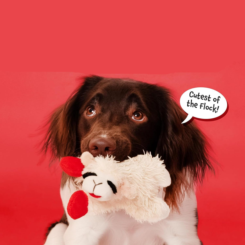 Dailypets Plush Squeaky Lamb Dog Toy for Cuddling, Fetch, and Everyday Play