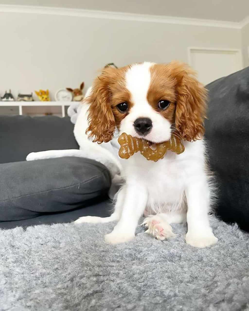Dailypets Puppy Teething Ring Chew Toy with Chicken Flavor for Small Puppies