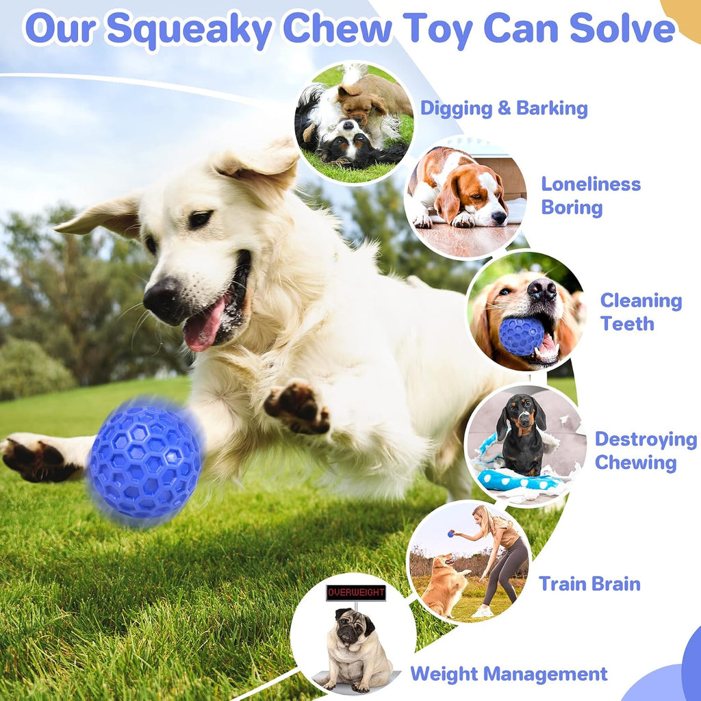 Dailypets Squeaky Dog Chew Ball with Treat Dispensing Texture for Large Breed Dogs