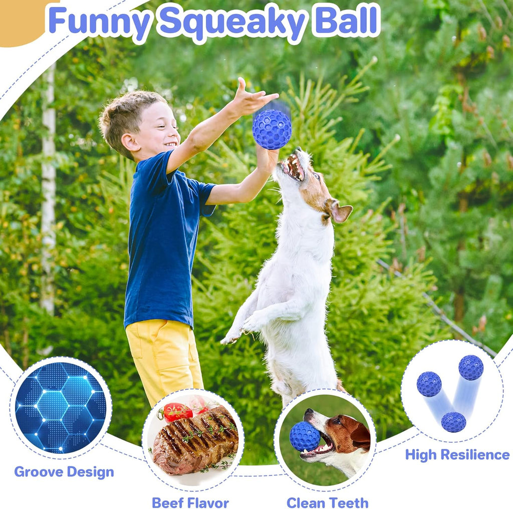 Dailypets Squeaky Dog Chew Ball with Treat Dispensing Texture for Large Breed Dogs