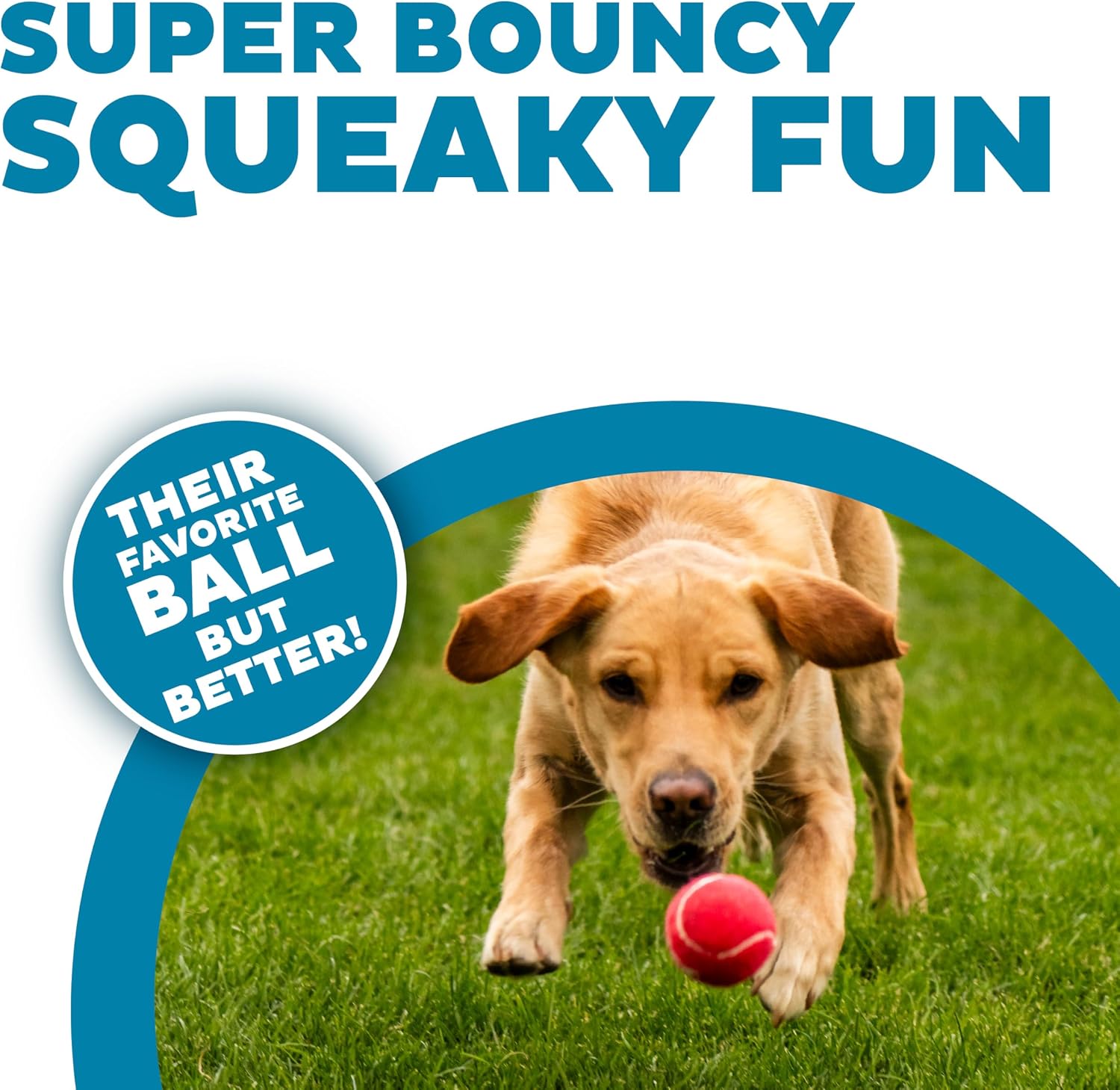 Dailypets High Bounce Squeaky Dog Balls 4 Pack for Medium Dogs Indoor Outdoor Play
