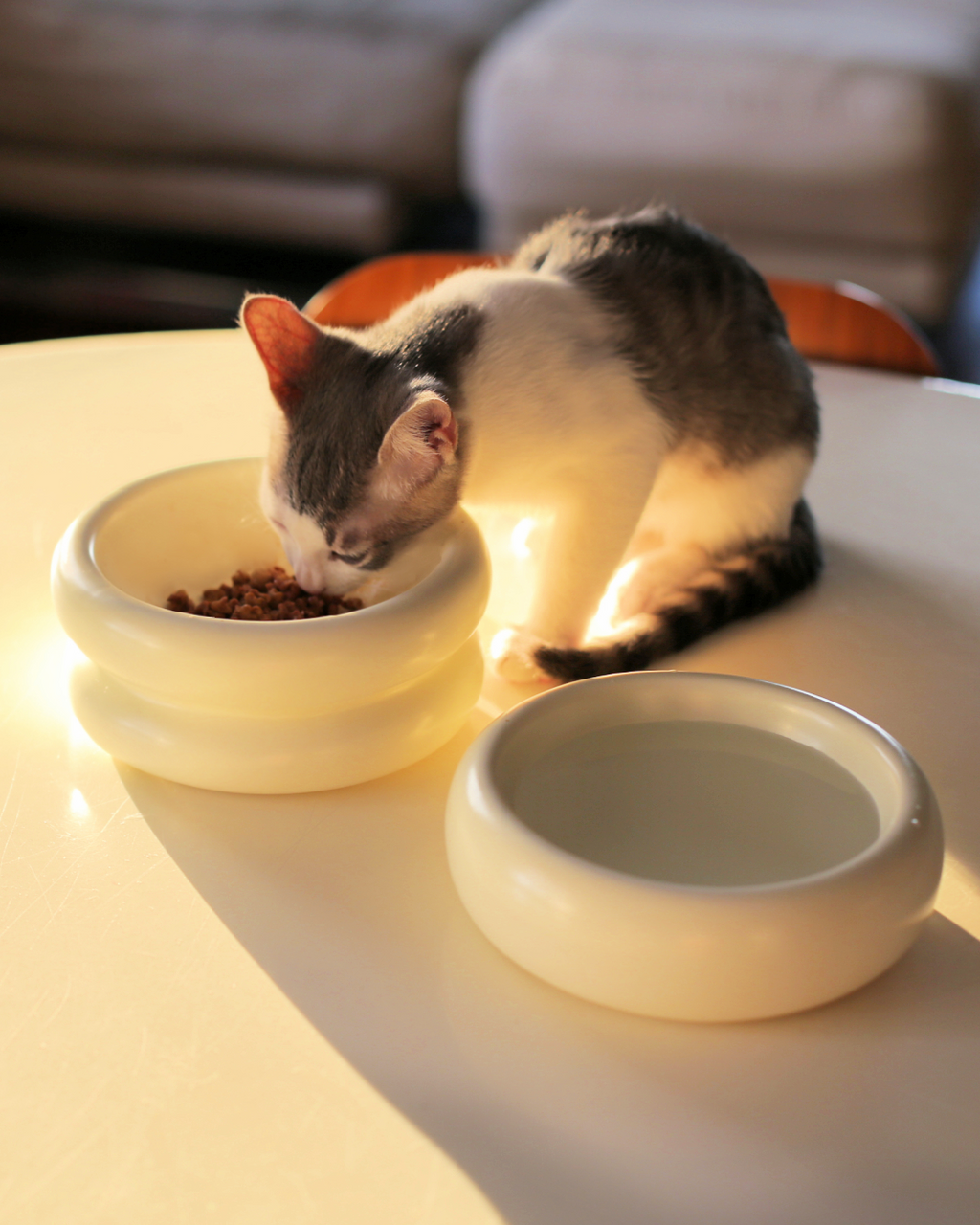 Dailypets Elevated Ceramic Cat Dining Bowl