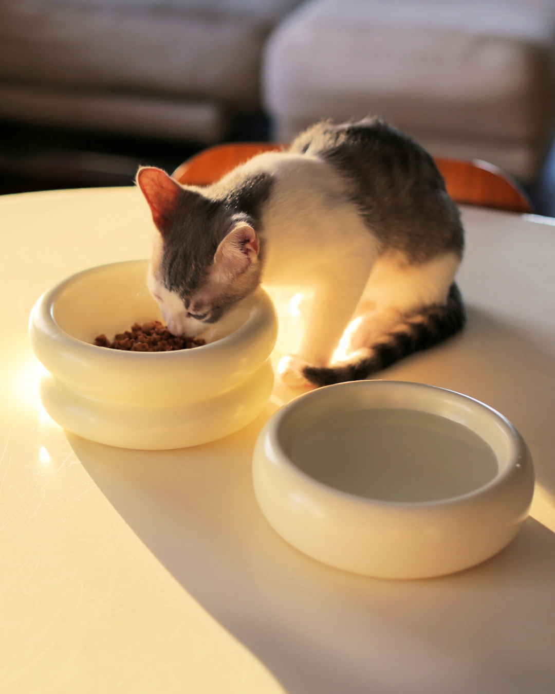 Dailypets Elevated Ceramic Cat Dining Bowl