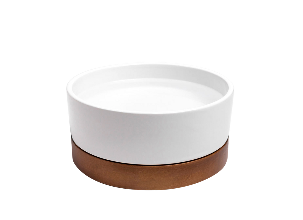 Dailypets Premium Pet Bowl, Water Bowl with Mid-Century Base