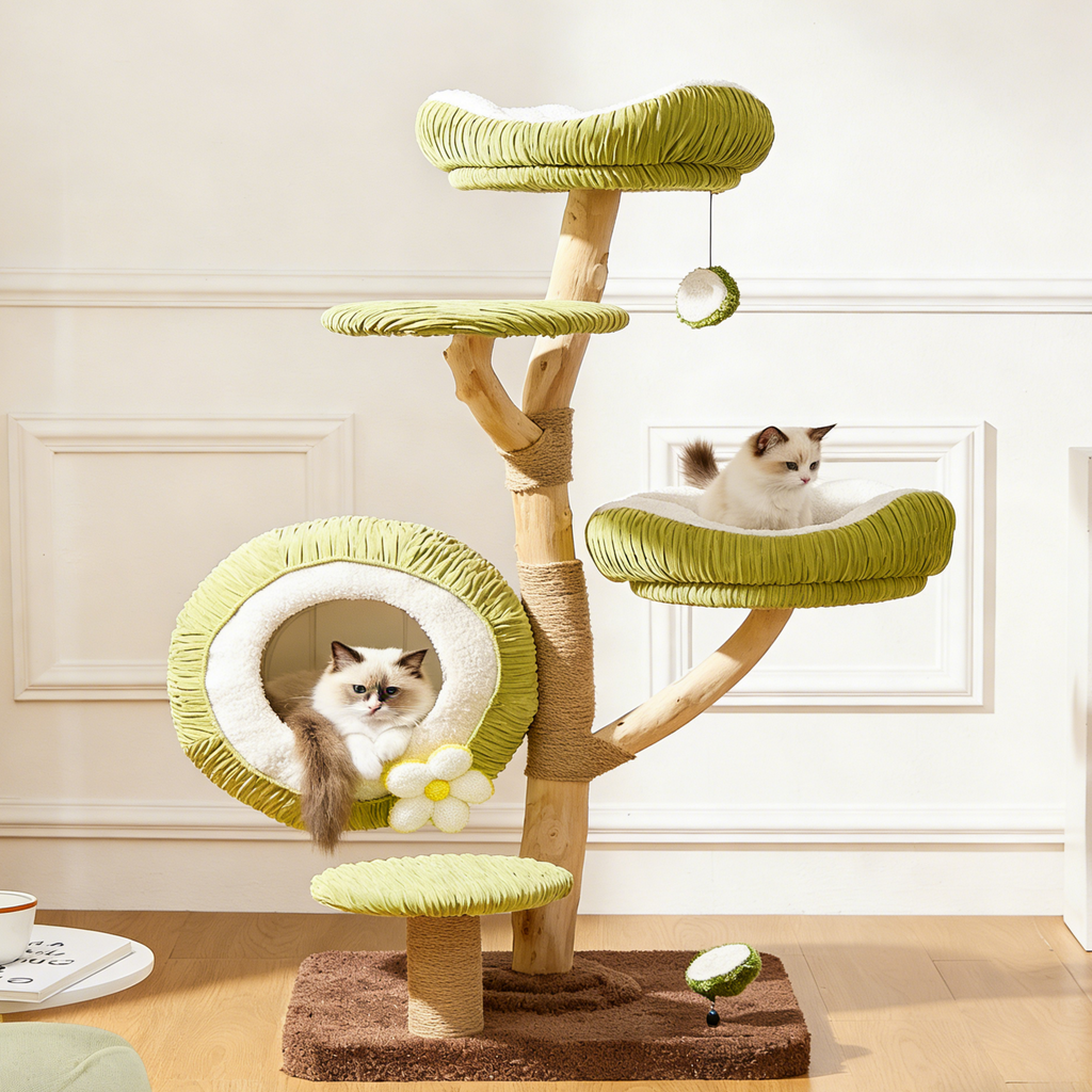 Dailypets Natural Wood Cat Tree with Coconut Cat Bed and Multi-Level Climbing Platforms