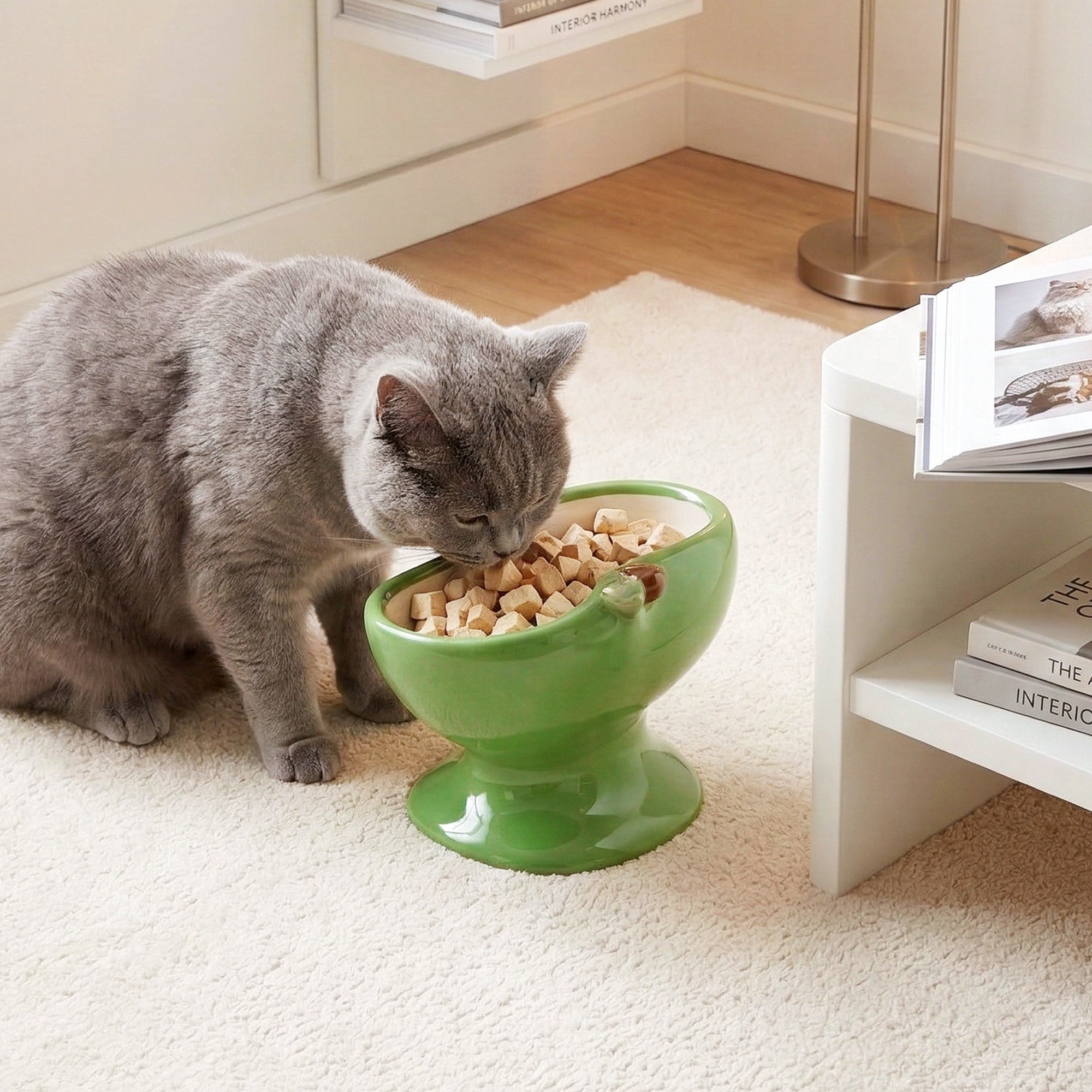 Dailypets Raised Ceramic Cat Food Bowl Apple Style Feeding Dish