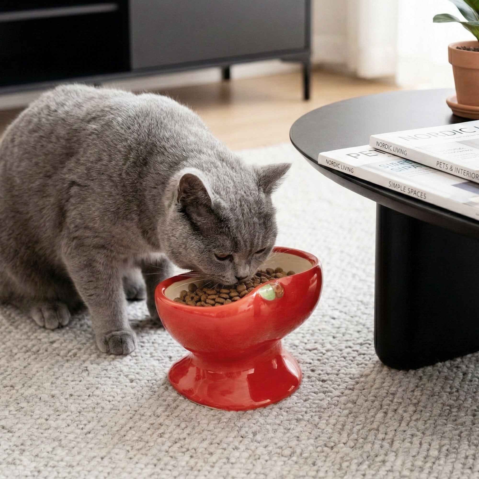 Dailypets Raised Ceramic Cat Food Bowl Apple Style Feeding Dish